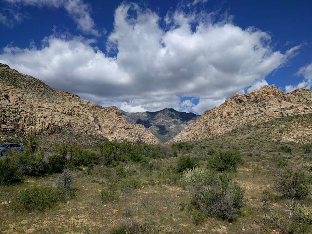 Ice Box Canyon Trailhead | Ice Box Canyon, Las Vegas, NV 89161, USA | Phone: (702) 515-5350