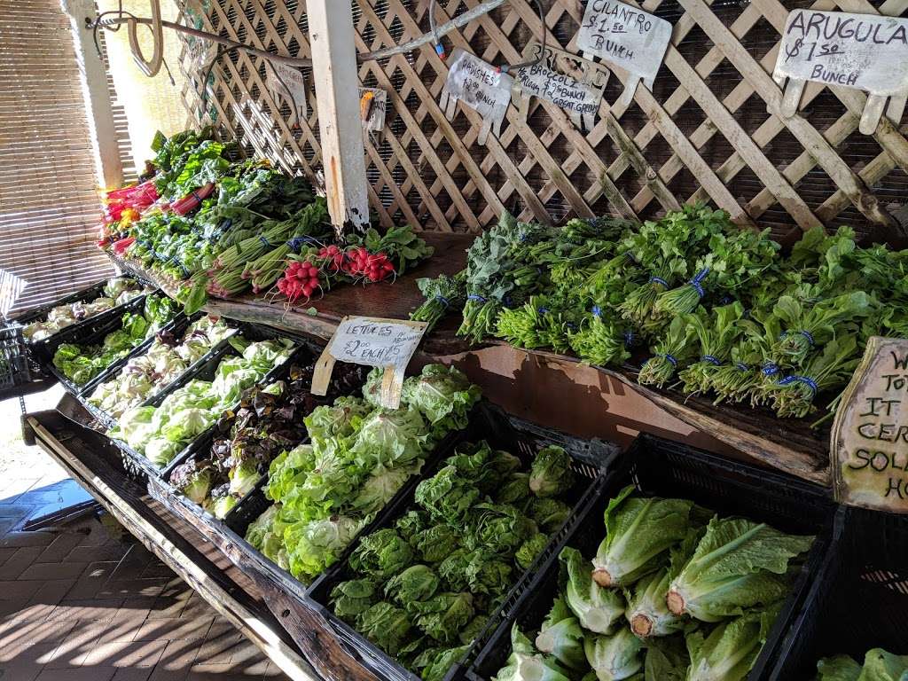 Gospel Flat Farm Stand | Bolinas, CA 94924