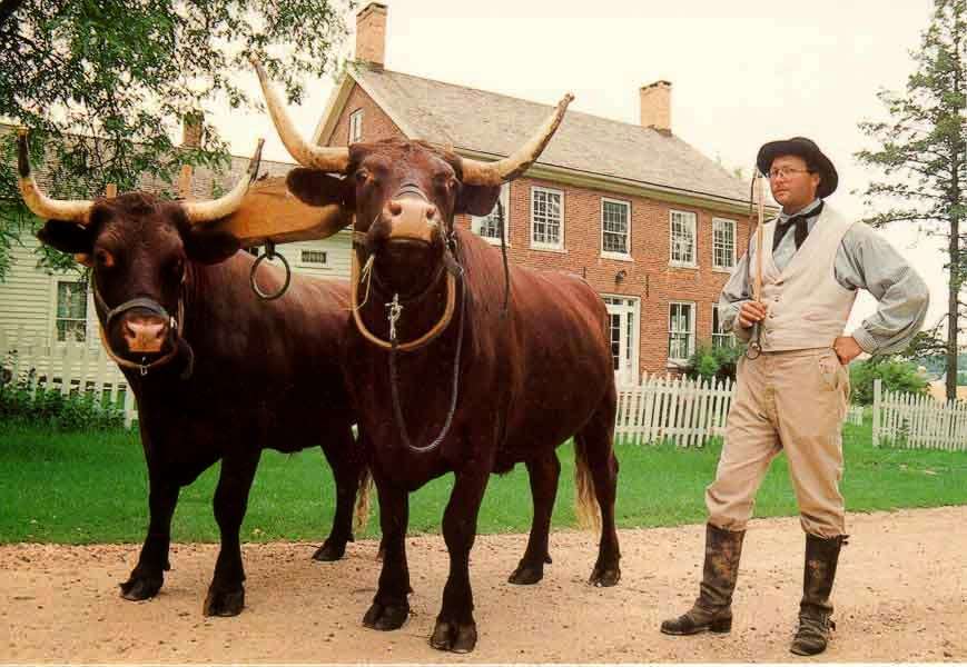 Garfield Farm Museum | Garfield Rd, La Fox, IL 60147, USA | Phone: (630) 584-8485