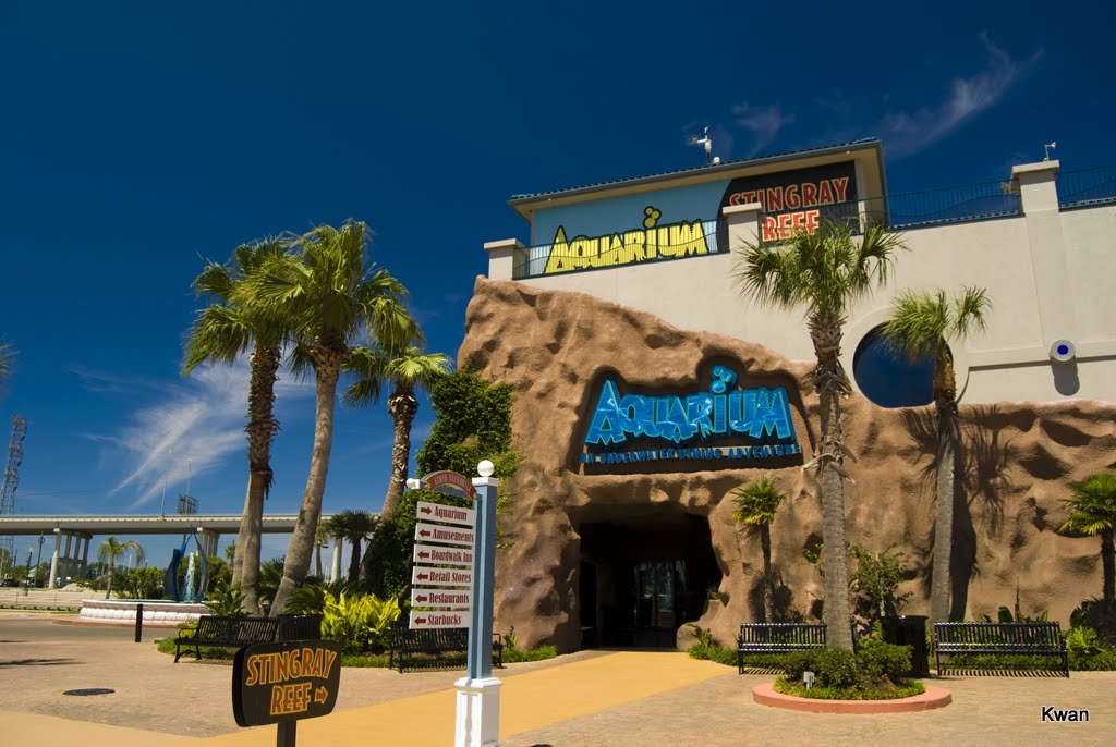 Aquarium Restaurant | Boardwalk #11, Kemah, TX 77565, USA | Phone: (281) 334-9010