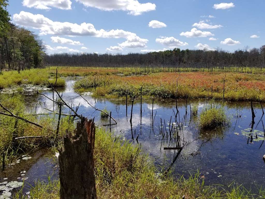 Black Run Preserve | Kettle Run Rd, Evesham Township, NJ 08053, USA