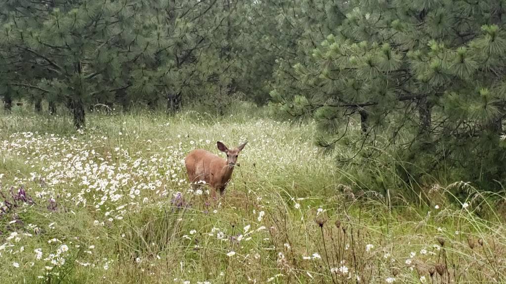 Cooper Mountain Nature Park | 18895 SW Kemmer Rd, Beaverton, OR 97007, USA | Phone: (503) 629-6350