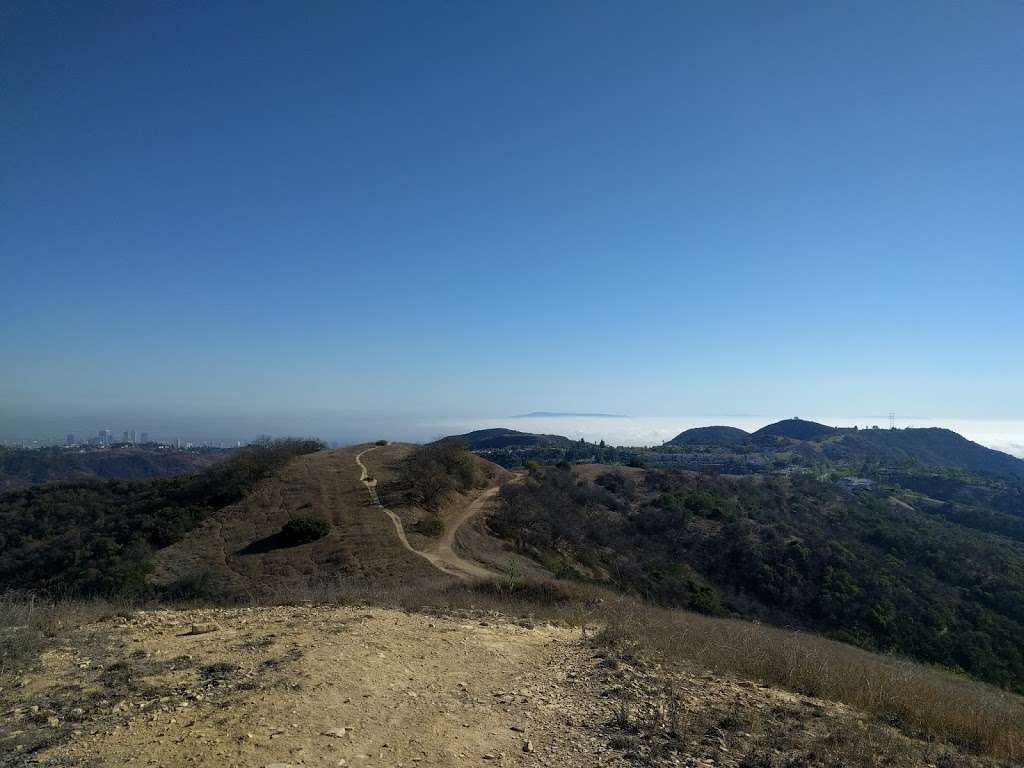 Canyonback Trail | Los Angeles, CA 90049