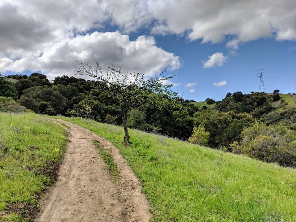 Fremont Older Open Space Preserve | Cupertino, CA 95014 | Phone: (650) 691-1200