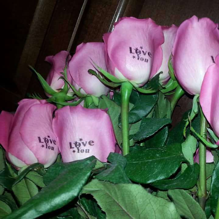 1millionroses.com | 2540 N Jerusalem Rd, North Bellmore, NY 11710, USA | Phone: (516) 668-2756