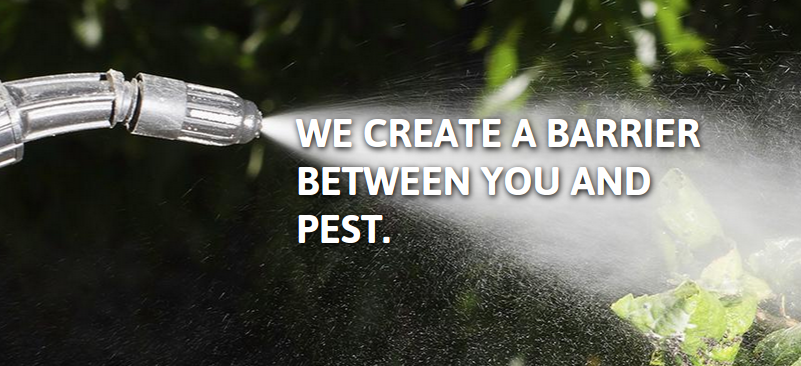 Bugzome Pest Management | 9395 Indian Camp Rd, Columbia, MD 21045, USA | Phone: (240) 492-9283