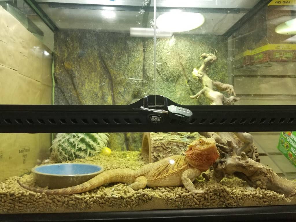 Arizona Reptile Center | 2025 W Broadway Rd #1, Mesa, AZ 85202, USA | Phone: (480) 835-6244