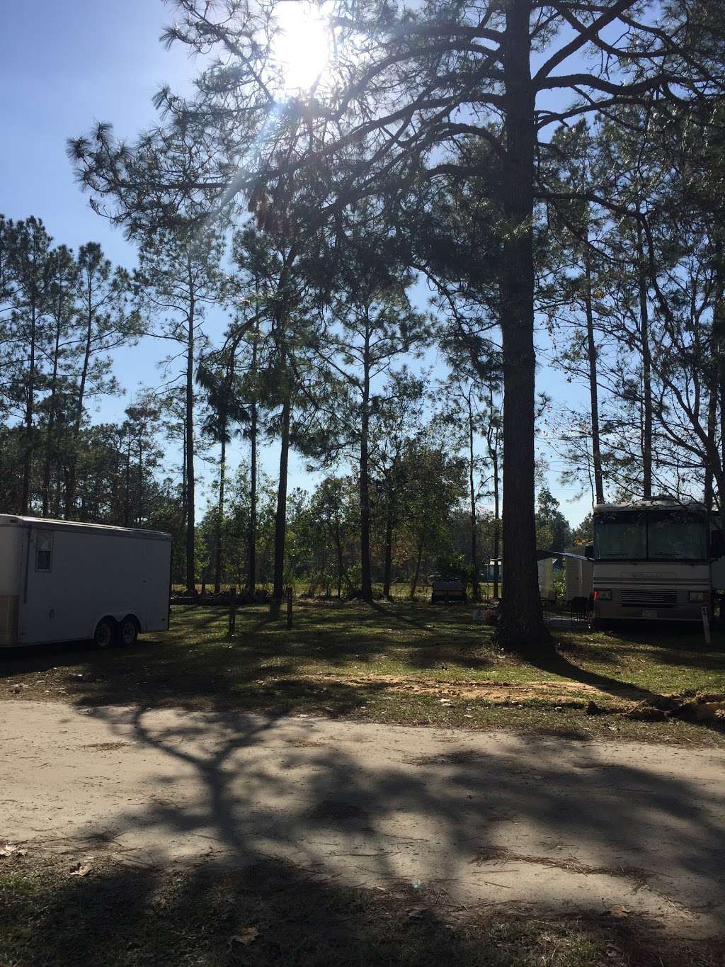 Bens Hitching Post Campground | 2440 NE 115th Ave, Silver Springs, FL 34488, USA | Phone: (352) 625-4213