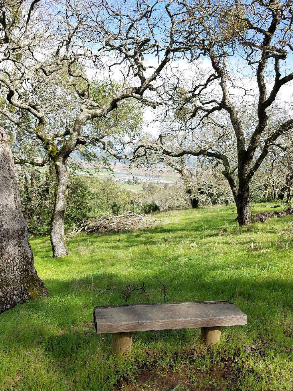 Olompali State Historic Park | 8901 Redwood Blvd, Novato, CA 94945 | Phone: (415) 898-4362