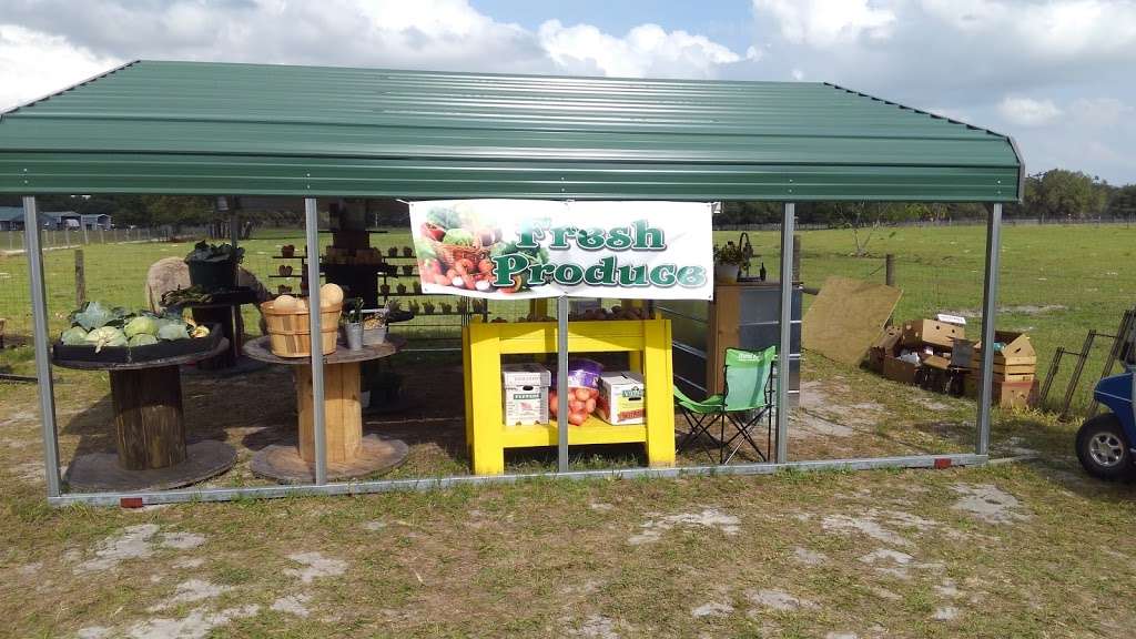 Dyess Family Farms/Fresh Produce | 5207, 1779 FL-471, Sumterville, FL 33585, USA | Phone: (352) 461-5054