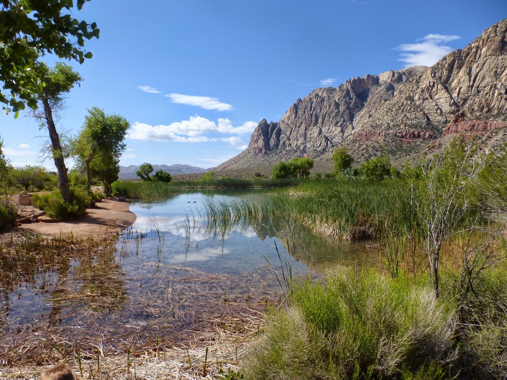 Spring Mountain Ranch State Park | 6375 NV-159, Blue Diamond, NV 89004, USA | Phone: (702) 875-4141