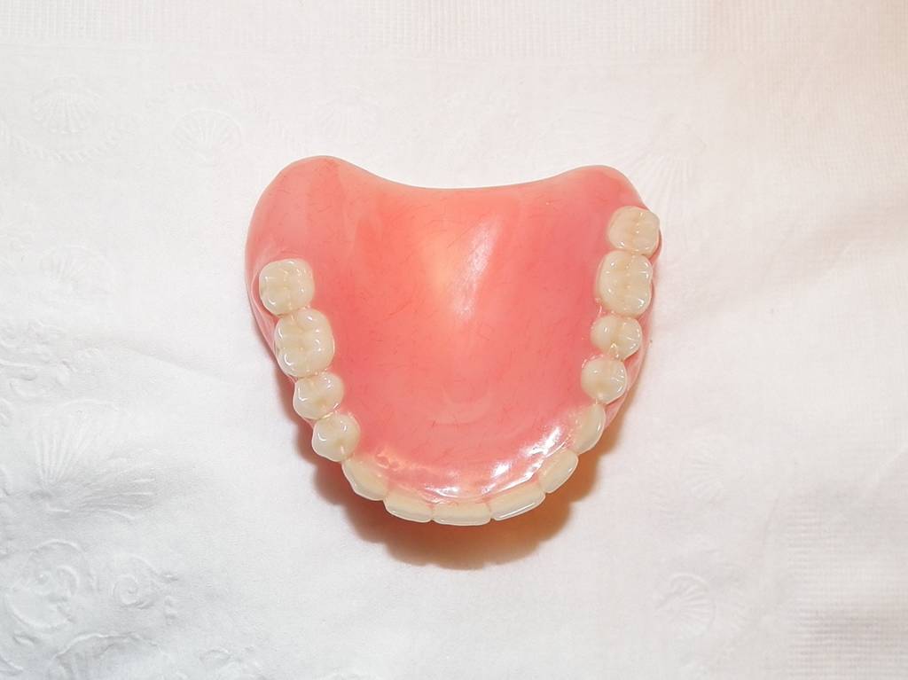Carrollwood Smiles | 3401 W Fletcher Ave A, Tampa, FL 33618, USA | Phone: (813) 269-4000