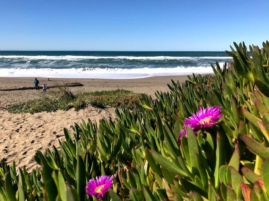 Point Reyes Beach North | Point Reyes Beach N, Inverness, CA 94937, USA | Phone: (415) 464-5100