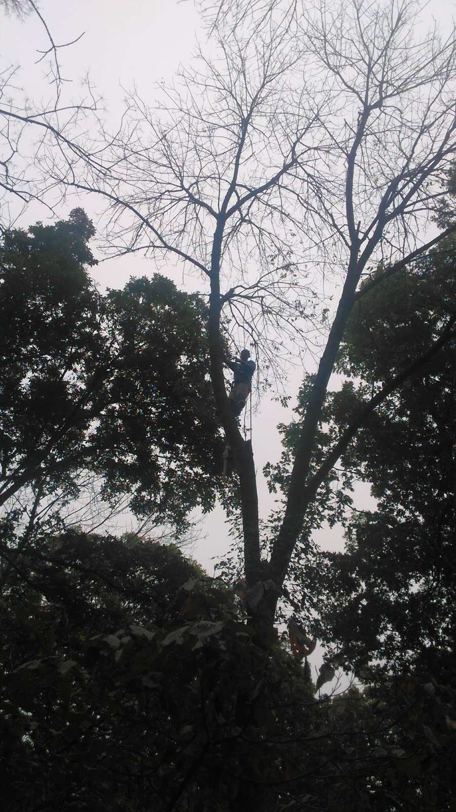 Seamless Wall Coverings & Designs | 4411 Shari Ct, Catharpin, VA 20143, USA | Phone: (571) 437-8922