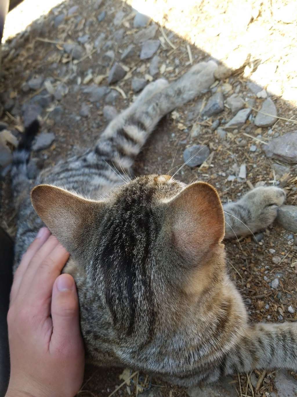 Carters Hay & Grain | 1985 Olivenhain Rd, Encinitas, CA 92024, USA | Phone: (760) 436-4738