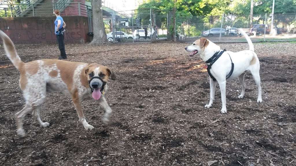 Underbridge Dog Run | 64th Ave. &, Grand Central Pkwy, Forest Hills, NY 11375, USA