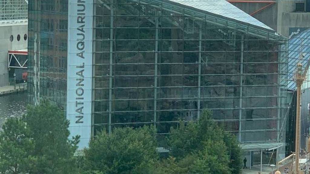 WildPedia | 44 Wyndmoor Pl, Gwynn Oak, MD 21207, USA | Phone: (443) 813-4181