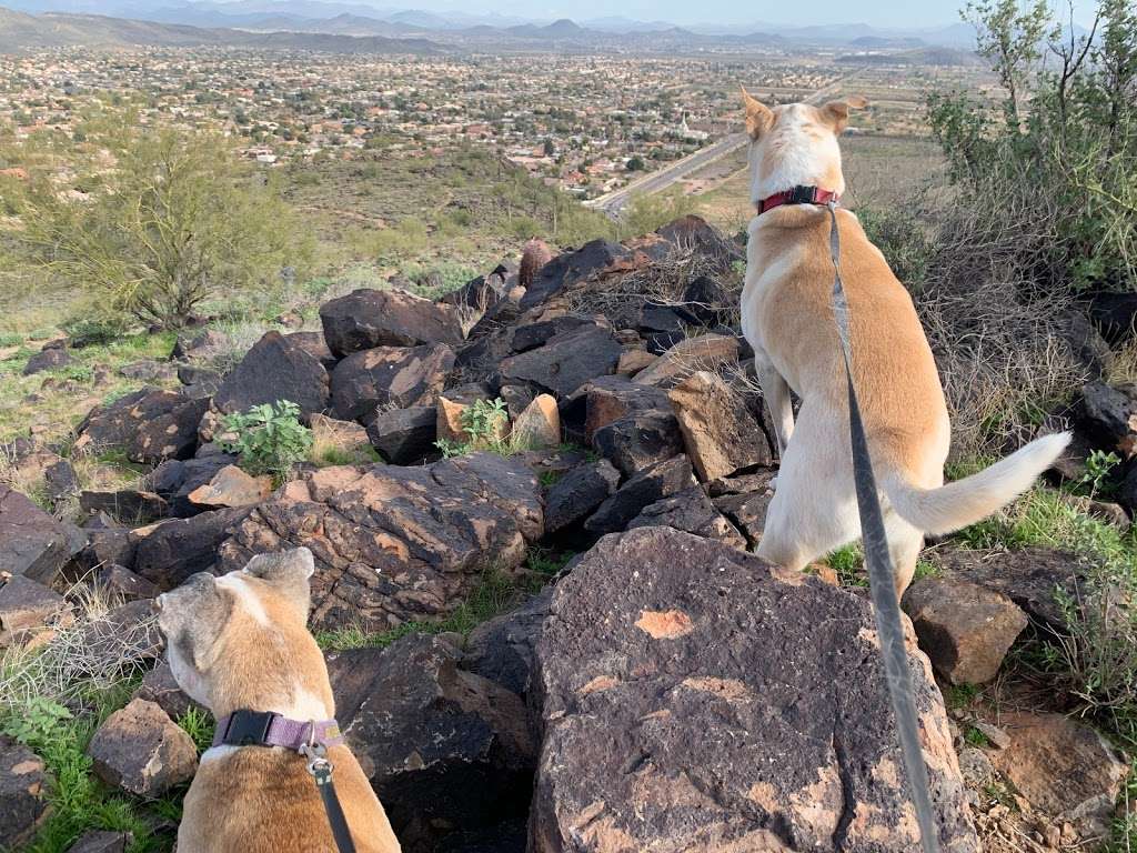 Thunderbird Conservation Park Trail | 5486 W Pinnacle Peak Rd, Glendale, AZ 85310, USA