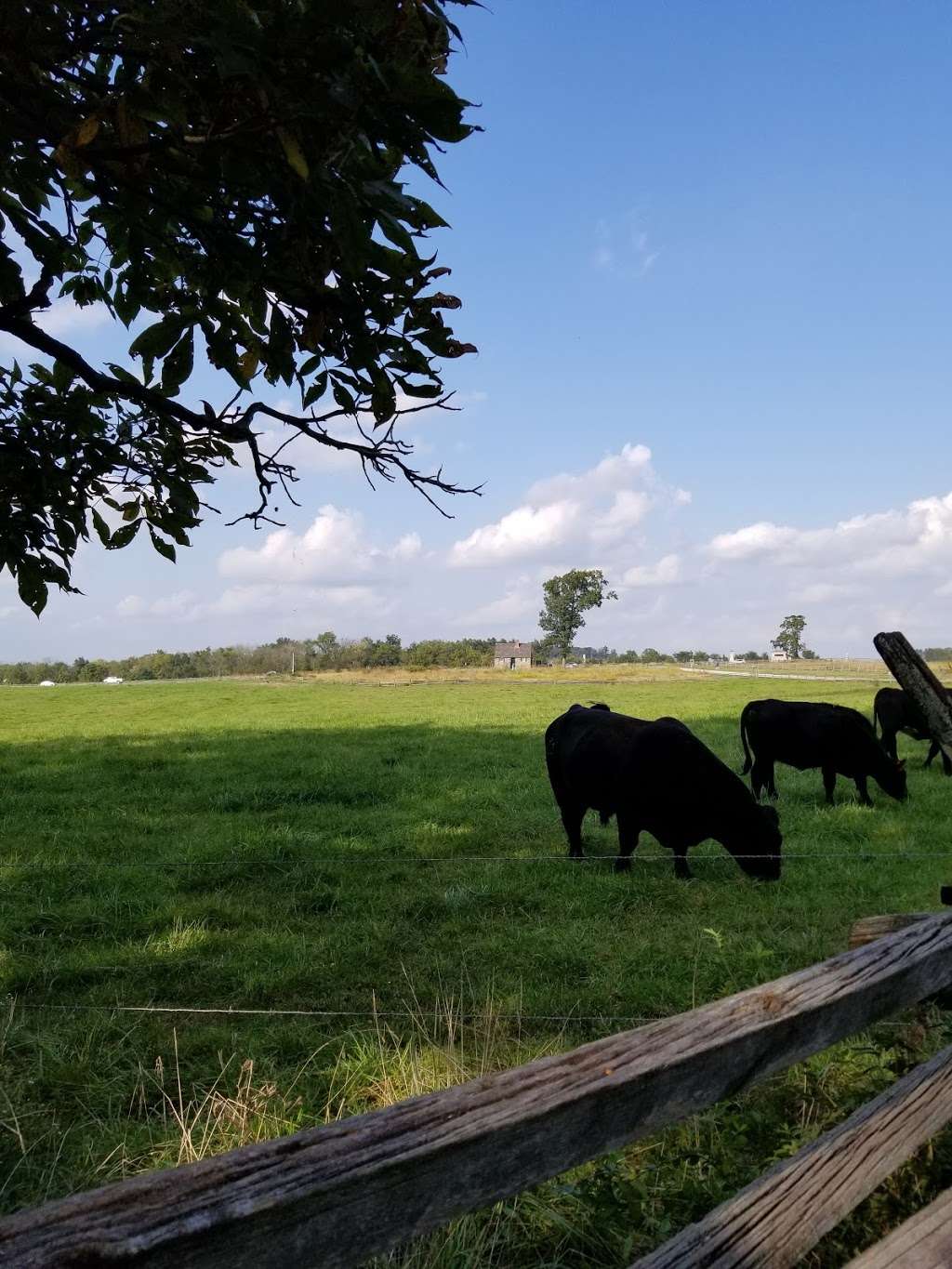 7th Wisconsin Monument | 17325, Gettysburg, PA 17325, USA