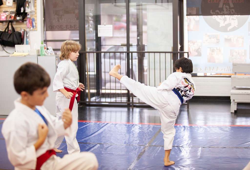 Dallas Academy of Martial Arts | 9644 Plano Rd, Dallas, TX 75238, USA | Phone: (214) 343-3000