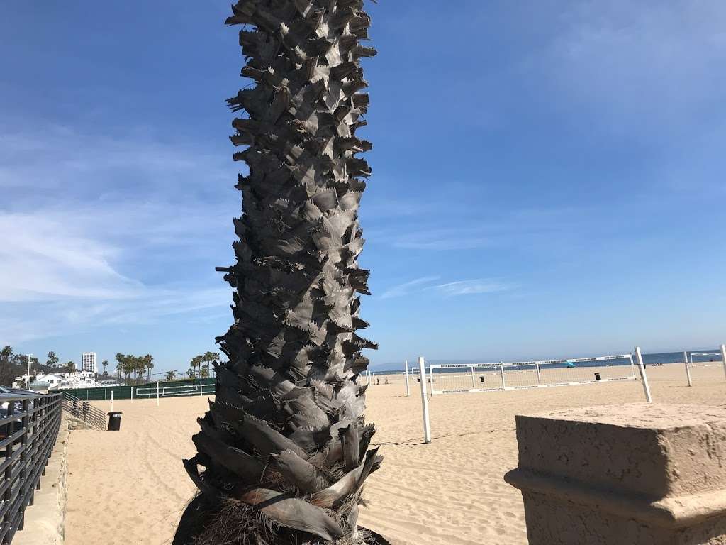 Will Rogers Beach | Santa Monica, CA 90402