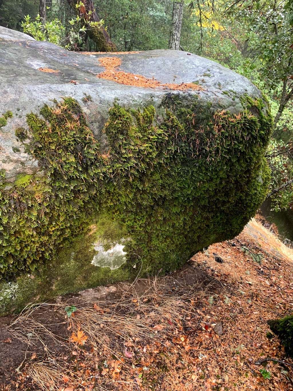 Castle Rock state park parking | Castle Rock Trail, Saratoga, CA 95070, USA