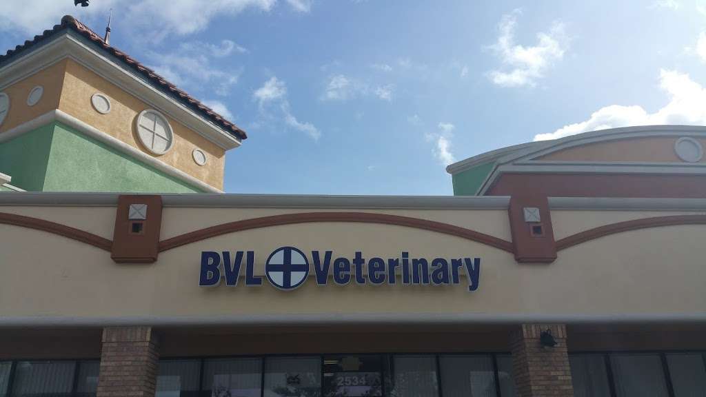 BVL Veterinary Hospital: Natela Turzhanskaya DVM | 2534 Simpson Rd, Kissimmee, FL 34744, USA | Phone: (407) 785-1140