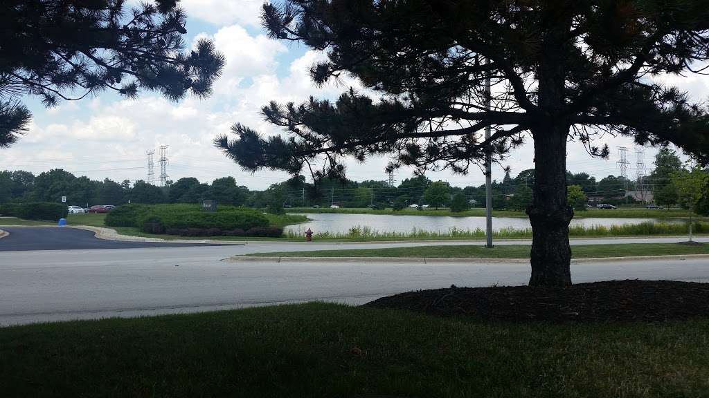 C.H. Robinson | 1501 N Mittel Blvd Suite B, Wood Dale, IL 60191, USA | Phone: (630) 766-4445