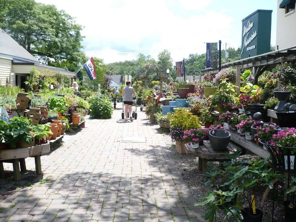 Weston Nurseries | 93 E Main St, Hopkinton, MA 01748, USA | Phone: (508) 435-3414