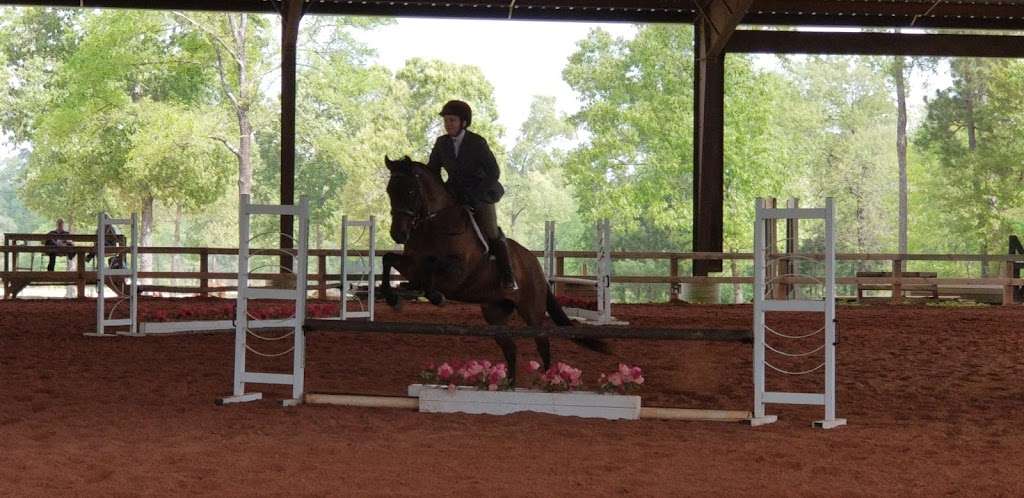 Edgebrook Equestrian | 3501 Jackson Rd, Montgomery, TX 77316, USA | Phone: (281) 814-7279