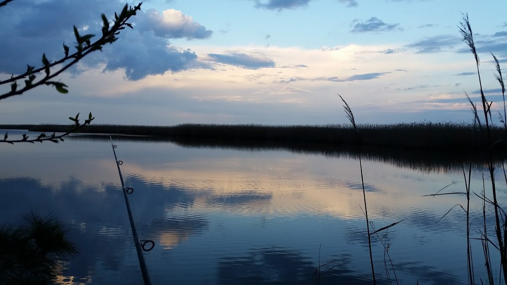 Princess Anne Wildlife Management Area Trojan Tract | Back Bay Landing Rd, Virginia Beach, VA 23457, USA | Phone: (757) 323-1581