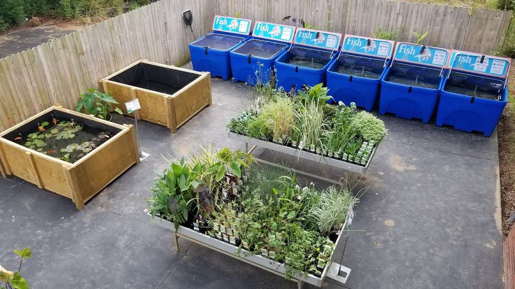 Pond Country | 182 E Plaza Dr, Mooresville, NC 28115, USA | Phone: (980) 247-2999