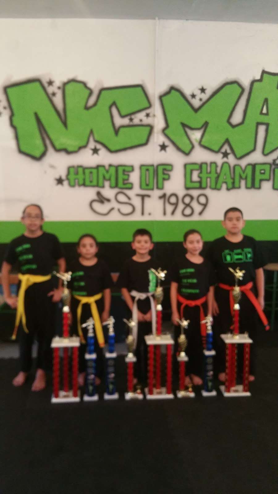 North Channel Martial Arts | 10330 Palestine St, Houston, TX 77029, USA | Phone: (713) 498-8311