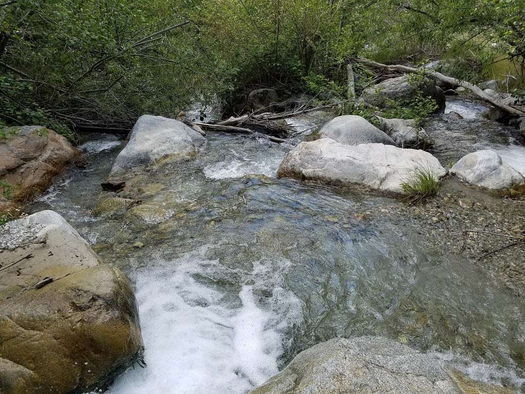 Mt. Baldy Wilderness Preserve | Angeles National Forest San Gabriel Mountains National Monument, Barrett Stoddard Truck Trail, Claremont, CA 91711, USA | Phone: (626) 815-1019