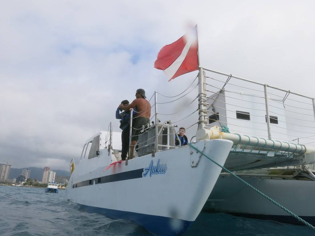 Aqua Zone Scuba Diving & Snorkeling Boat Location - Slip A-8 | Dive Boat location- Kewalo Harbor 1125 Ala Moana Blvd Slip A-8, Honolulu, HI 96813, USA | Phone: (808) 923-3483