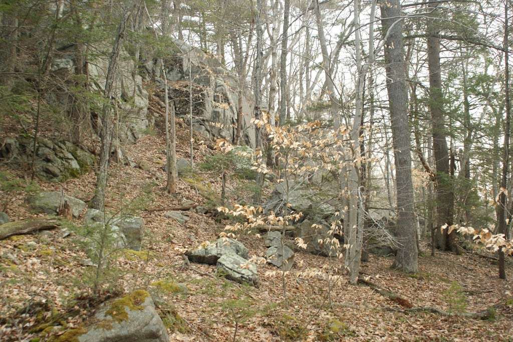 Millstone Hill Conservation Area | Essex, MA 01929, USA