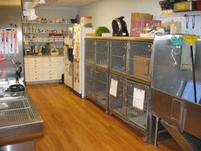 Petsvet Animal Hospital | 15808 N Old El Mirage Rd, Surprise, AZ 85378, USA | Phone: (623) 910-3242
