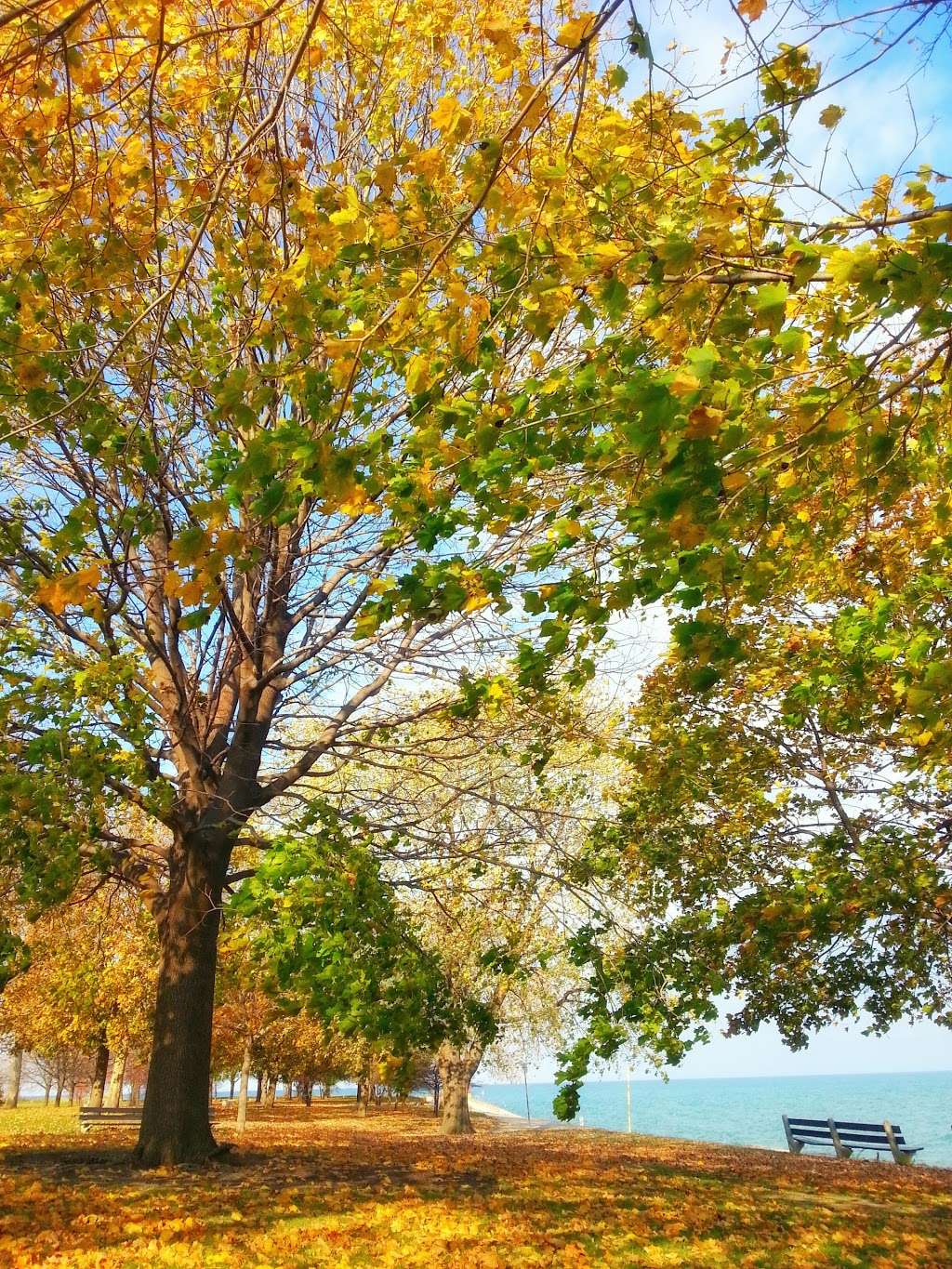 Lakefront Trail | Lakefront Trail, Chicago, IL 60660, USA