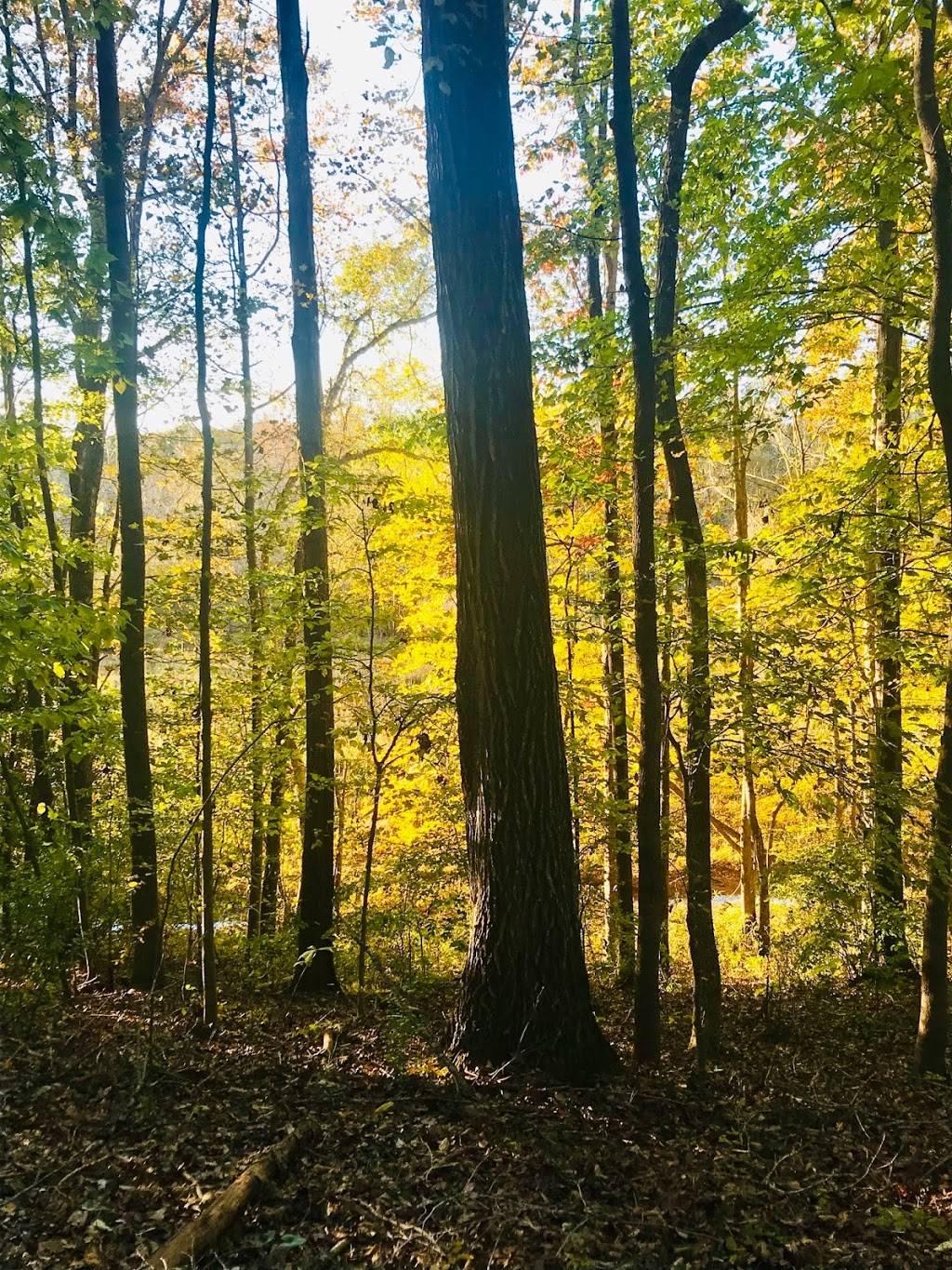 Stephens Road Nature Preserve-Cashion Entrance | 5244-5404, Cashion Rd, Huntersville, NC 28078, USA | Phone: (704) 948-4504