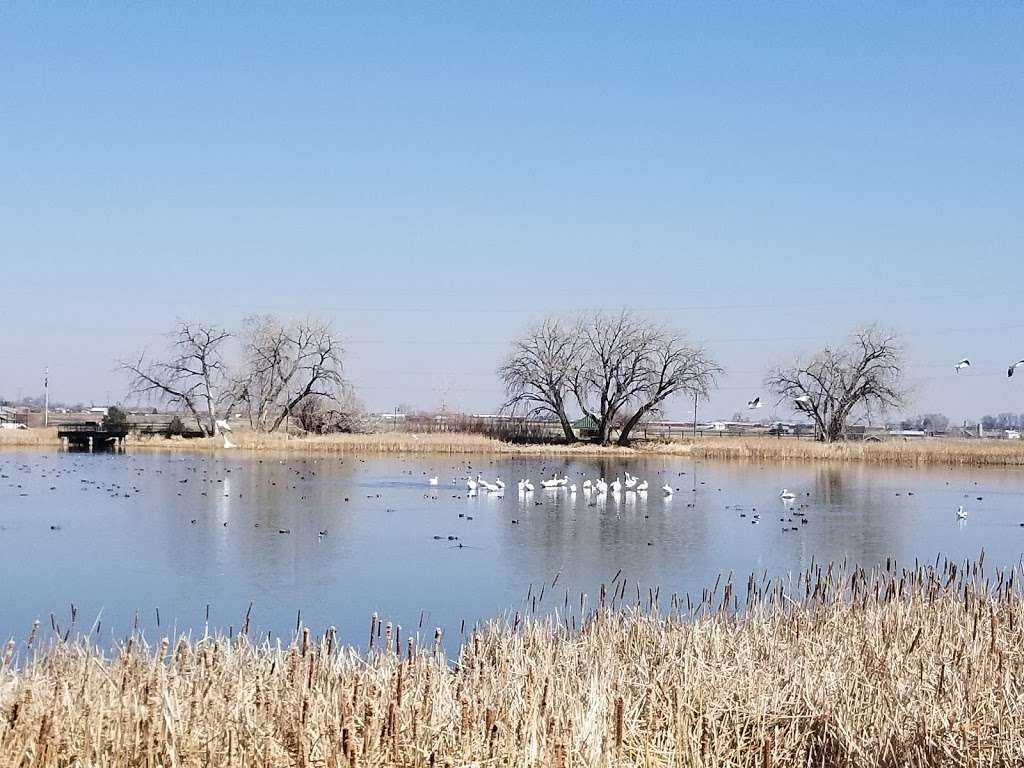 Jim Hamm Nature Area | 1701 E County Line Rd, Longmont, CO 80504, USA | Phone: (303) 651-8446