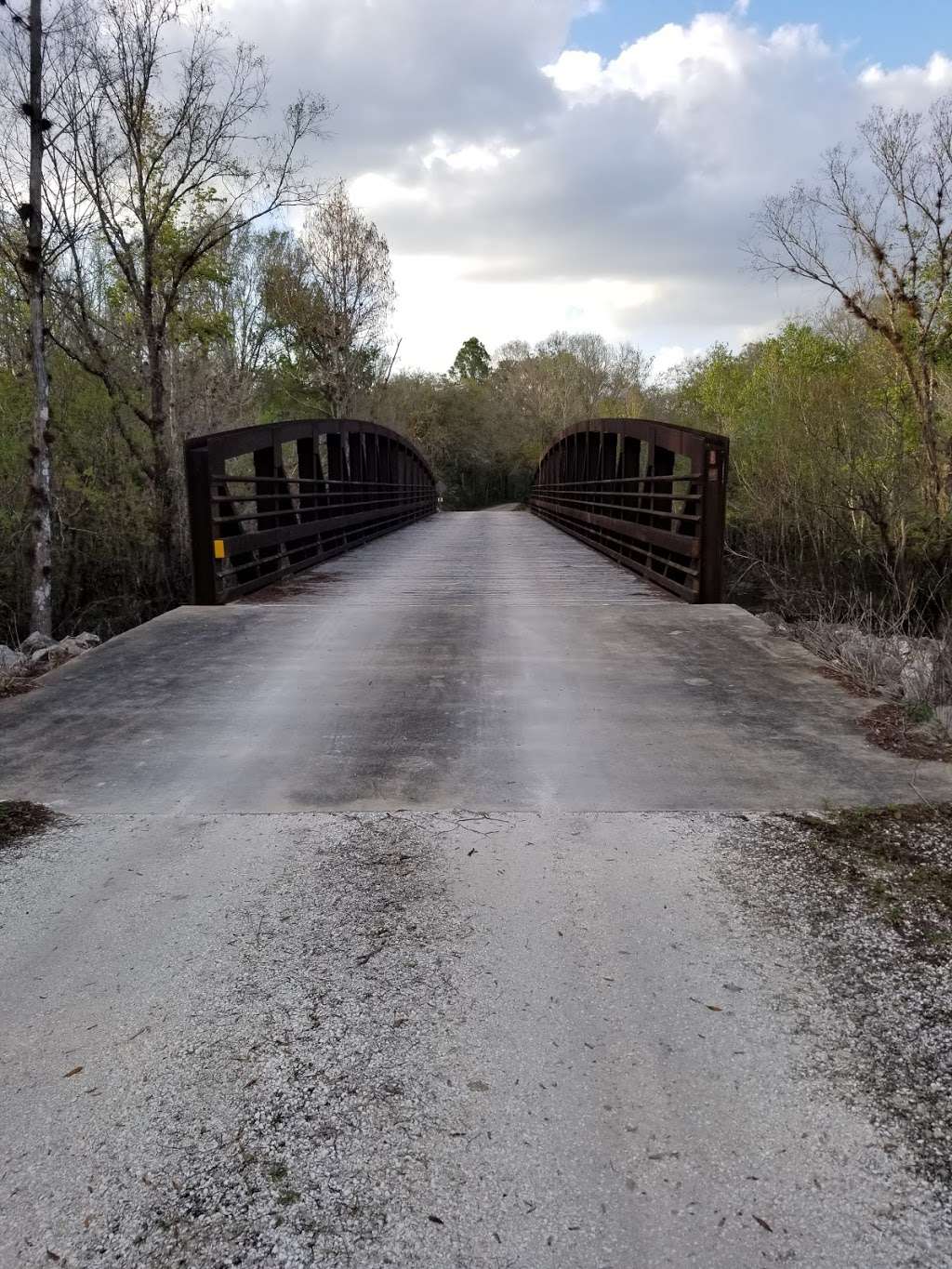 Trial Ford Bridge | Lakeland, FL 33809, USA
