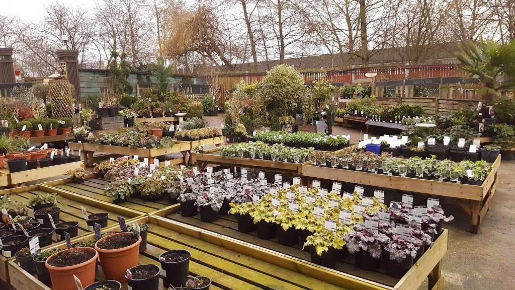 Camden Garden Centre | 2 Barker Dr, London NW1 0JW, UK | Phone: 020 7387 7080