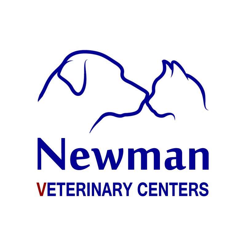 Newman Veterinary Centers | 1701 E Airport Blvd, Sanford, FL 32773, USA | Phone: (407) 585-4440