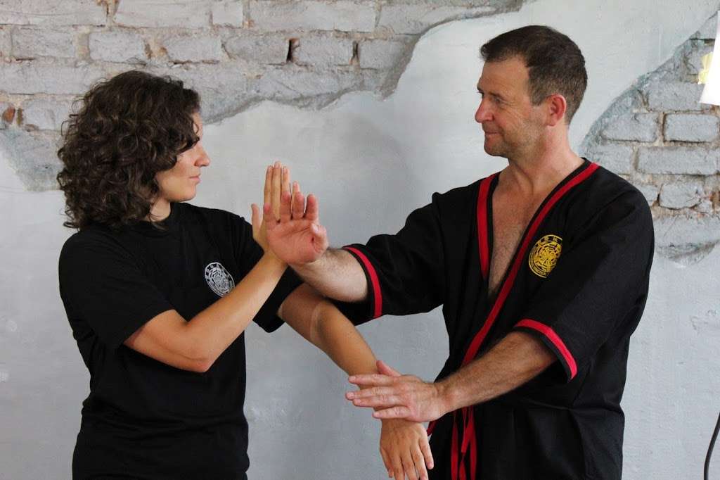 Wing Tsun Illinois Martial Arts | 1228 N River Rd, Mt Prospect, IL 60056 | Phone: (847) 224-2496