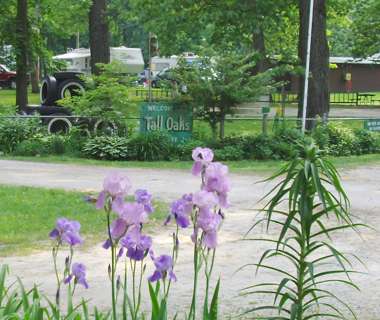 Tall Oaks Family Campground | 8040 N Tall Oaks Ct, Buffalo, IN 47925, USA | Phone: (574) 278-7181