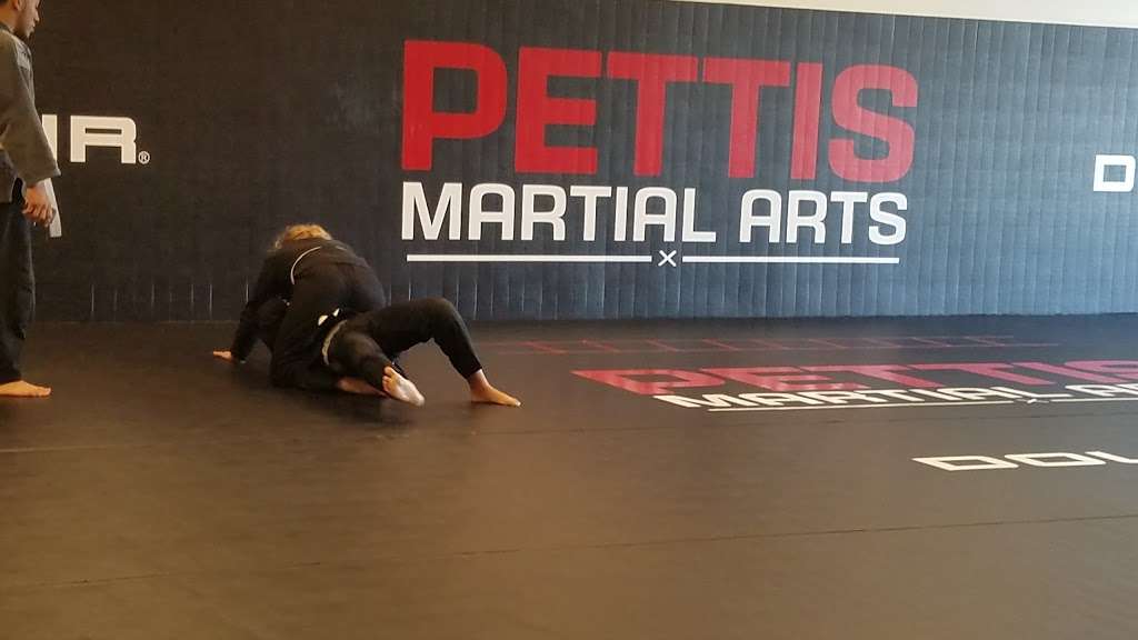 Pettis Martial Arts | 2300 E Layton Ave, St Francis, WI 53235, USA | Phone: (414) 763-6562