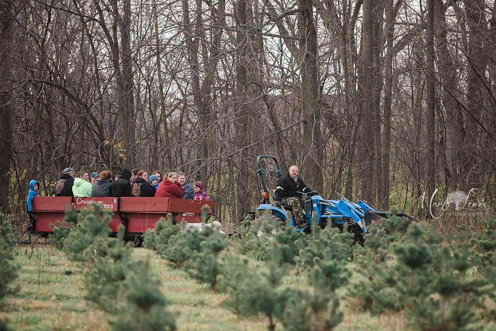 Cruise In Trees Christmas Tree Farm | 4715 S 400 E, Cutler, IN 46920, USA | Phone: (765) 566-2350