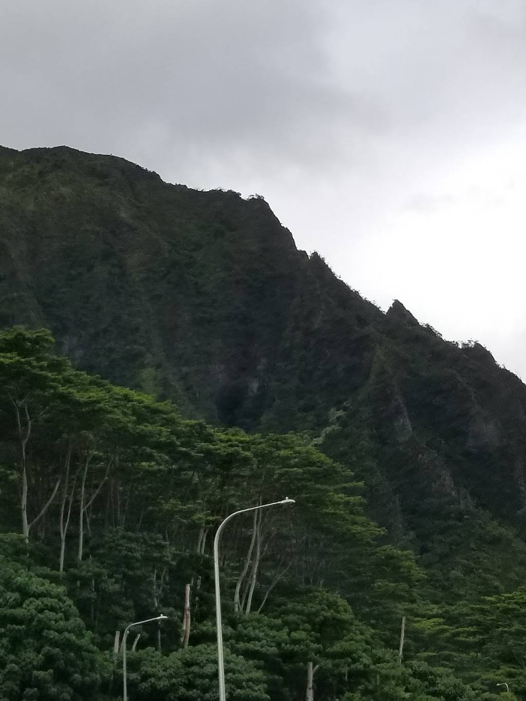 Hawaii State Veterans Cemetery | 45-349 Kamehameha Hwy, Kaneohe, HI 96744, USA | Phone: (808) 369-3575