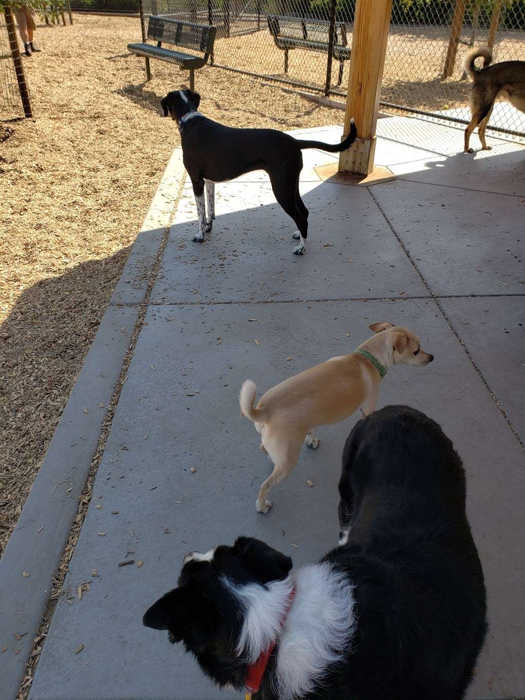 Cubbys Dog Park | 3200 W Lagoon Rd, Pleasanton, CA 94588, USA