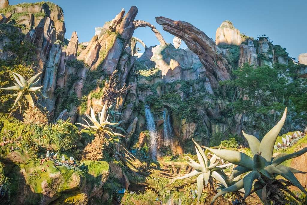 Avatar Flight of Passage | 2901 Osceola Pkwy Suite C, Orlando, FL 32830, USA | Phone: (407) 939-5277